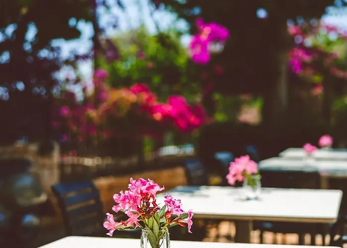 Livia فندق كاس